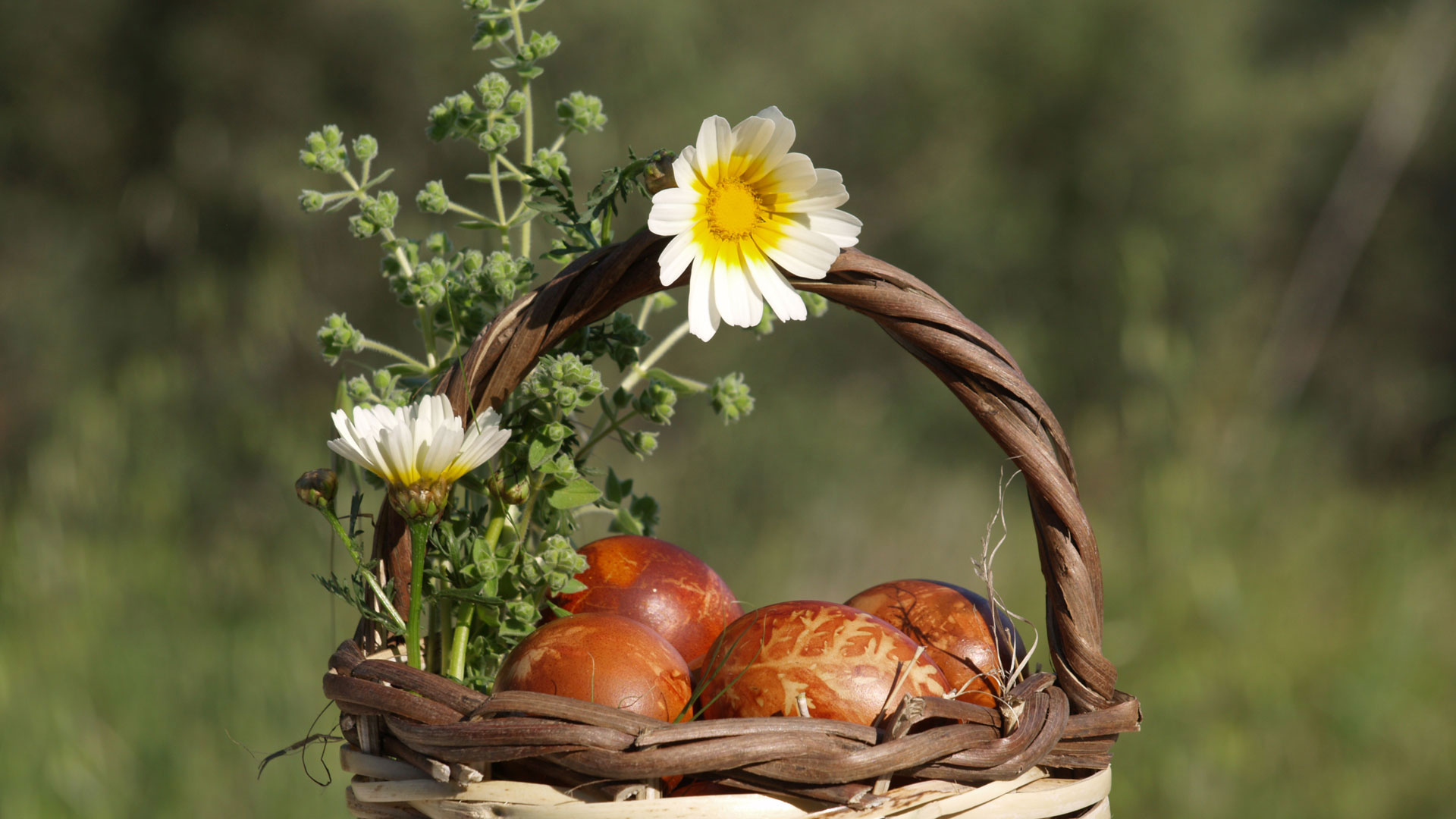 Experience Easter in Chroussiano Farmhouse